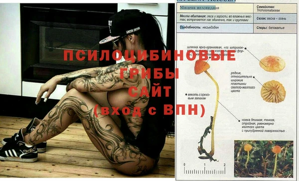 прущие крисы Алексин