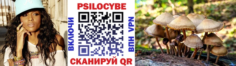 закладка  Муром  Галлюциногенные грибы GOLDEN TEACHER 